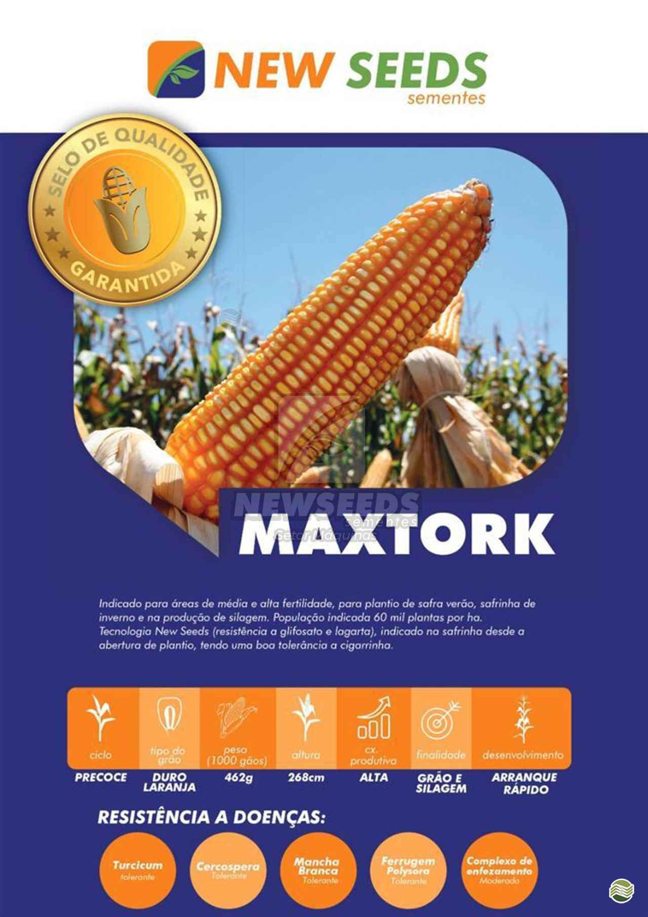 SEMENTES MILHO NEW SEEDS MAXTORK Pontara Comércio Agrícola MARACAJU MATO GROSSO DO SUL MS